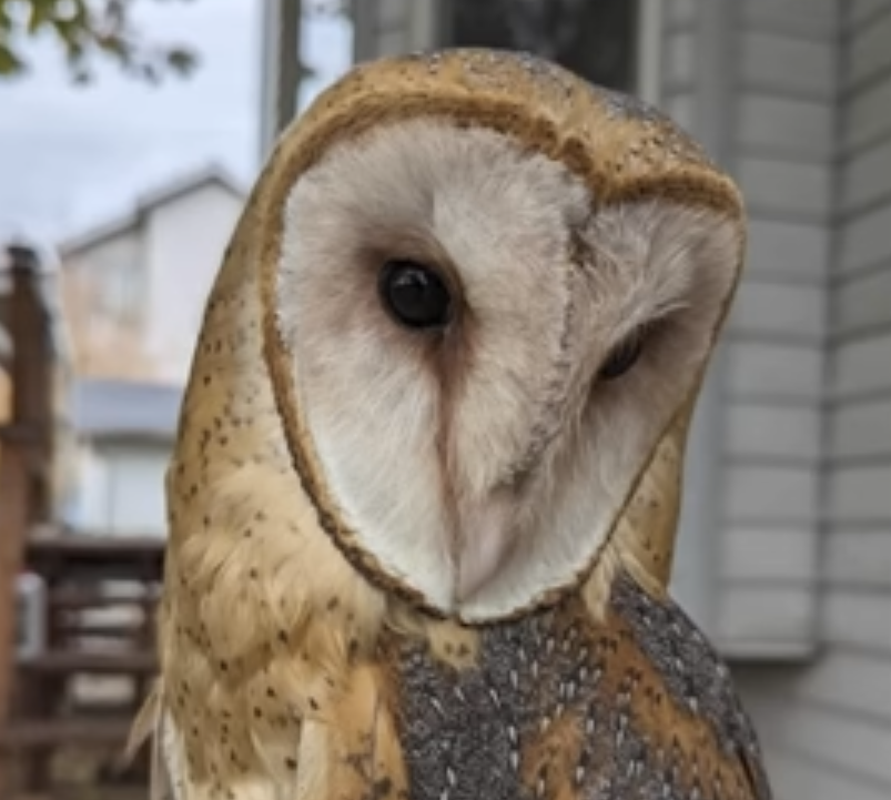 The Secrets of Skinwalker Ranch